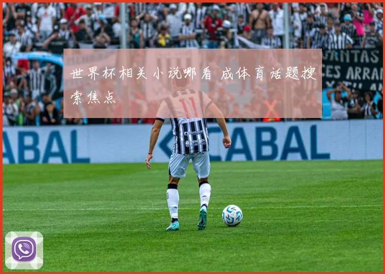 世界杯相关小说哪看 成体育话题搜索焦点