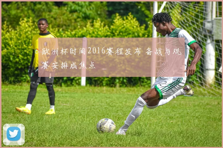 欧洲杯时间2016赛程发布 备战与观赛安排成焦点